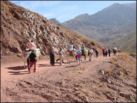 Dcouverte d' Adrar